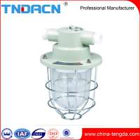 ABP type 100W safety explosion-proof incandescent lamp ( IIC )