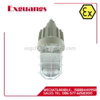 Explosion proof illumination lamp(IIC IP65 DIP)