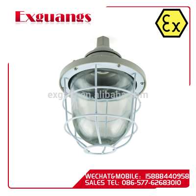 BAD51 series Lowest price professional Explosion proof lamp