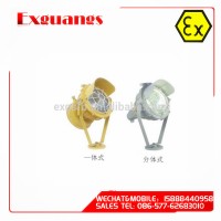 BTd52 Series Explosion Proof Floodlight(IIB,IIC,tD)