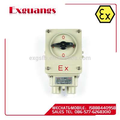 Explosion proof transfer switch for hazardous areas and factory(IIB IP54)