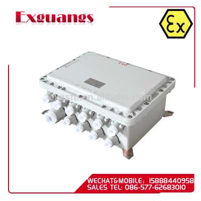 Explosion proof boxes(IP65 IIC DIP)