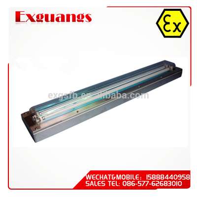 BHY Series stainless steel Explosion Proof Front Access Fluorescent Fitting(IIC,tD,Ip65)