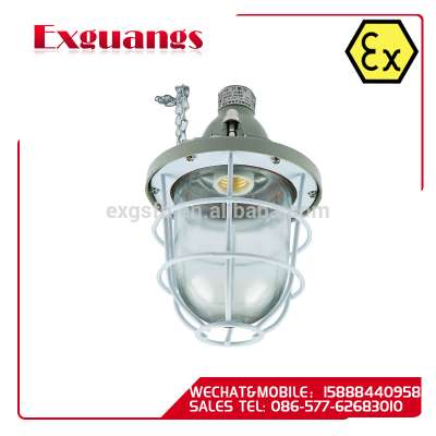 Pendant Light Fittings Explosion-proof Light Fittings(IP65 IIC)