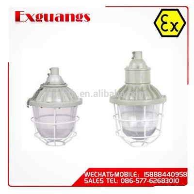 Explosion proof lamp/ATEX ex proof light(IIB IIC DIP IP65)