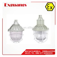 Explosion proof lamp/ATEX ex proof light(IIB IIC DIP IP65)