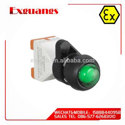 High quality Explosion-proof signal lamp(IIC ip65)